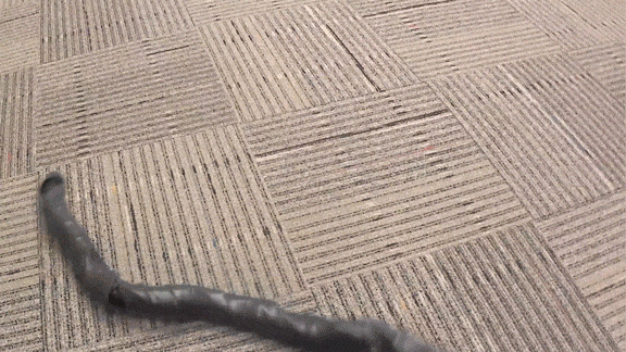 Robot snake that moves like a sidewinder could inspect sewage pipes