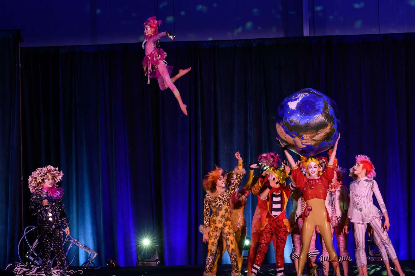 Cosmic Tumbles, Quantum Leaps review: Embodying Schrodinger's cat