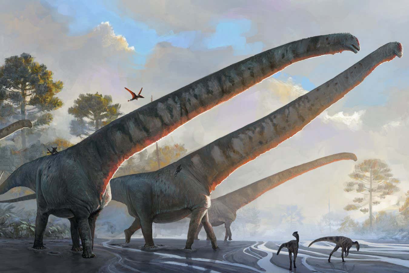 Longest dinosaur neck on record was six times longer than a giraffe's