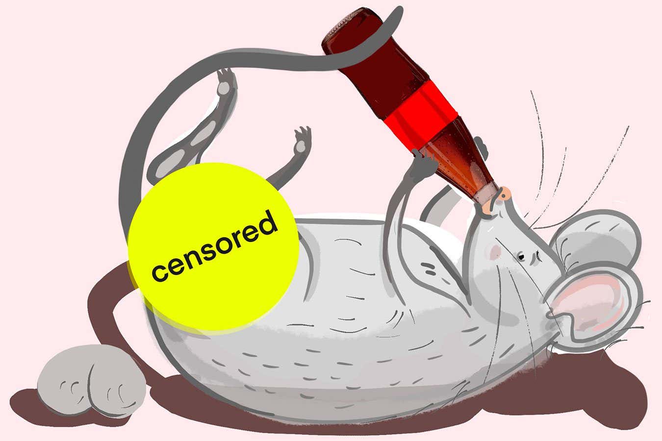 What happened to the male mice that drank lots of cola? Big things