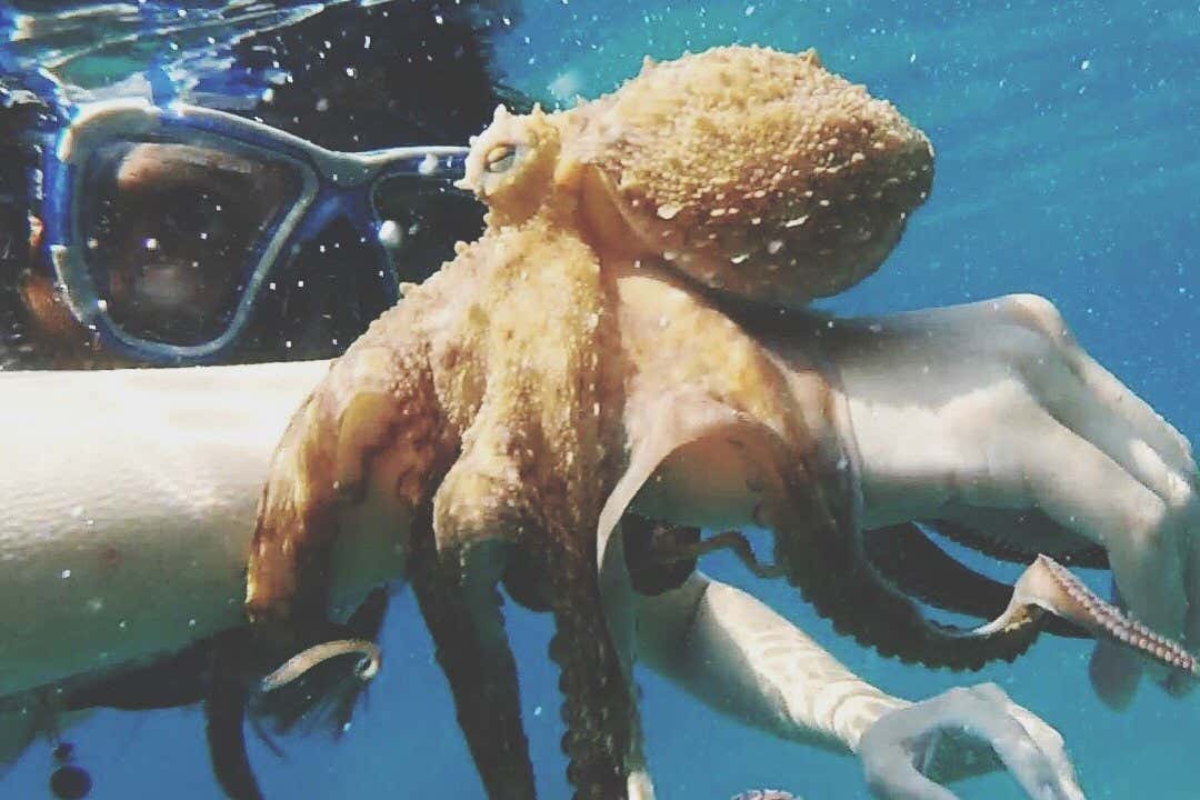 New Scientist. Science news and long reads from expert journalists, covering developments in science, technology, health and the environment on the website and the magazine.