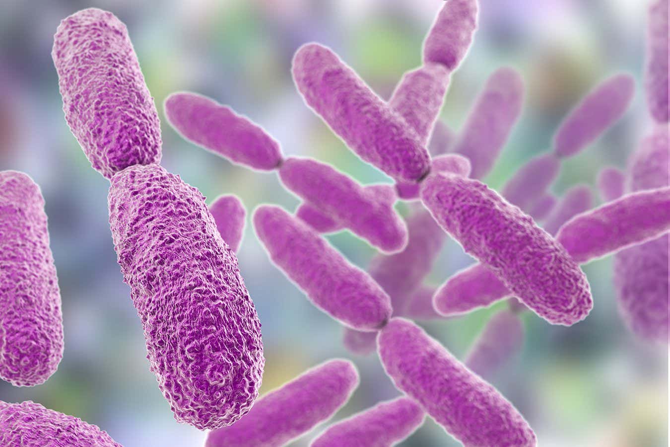 Bacteria Klebsiella, 3D illustration. Gram-negative rod-shaped bacteria which are often nosocomial antibiotic resistant