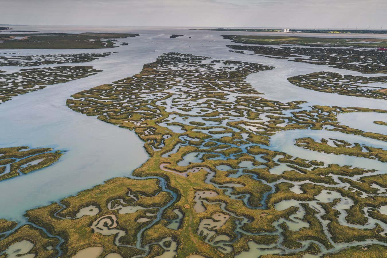 Drone shot of low tide and marshland patterns, Essex, England, United Kingdom