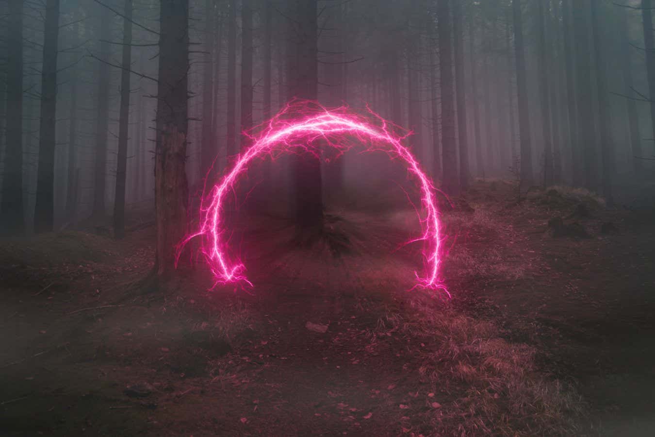 Neon portal in the foggy forest, magical evening; Shutterstock ID 2116865828; purchase_order: -; job: -; client: -; other: -
