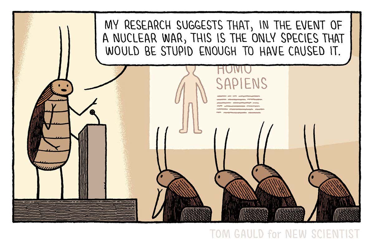 Tom Gauld: A cockroach speaks out