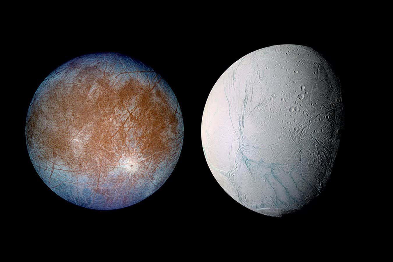 Europa, one of Jupiter's moons and Enceladus, one of Saturn's