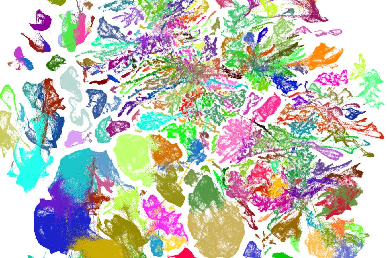 Cell types in a mouse's brain, coloured according to their subclass