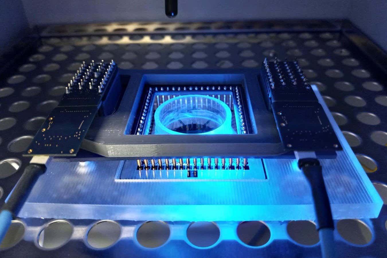 80,000 mouse brain cells used to build a living computer