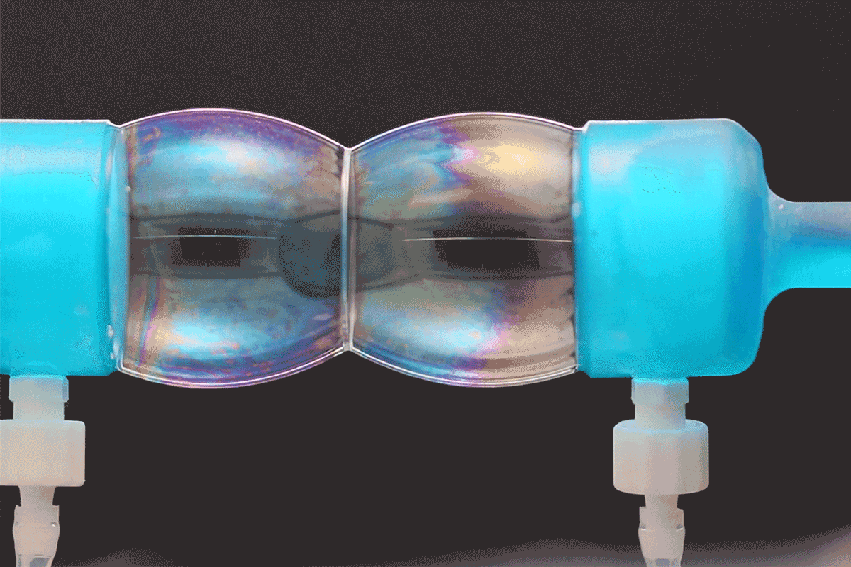 Scientists can calculate the shape colliding bubbles will form