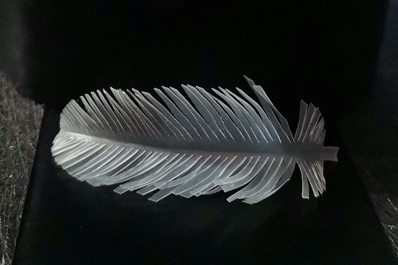 A feather made using the technique