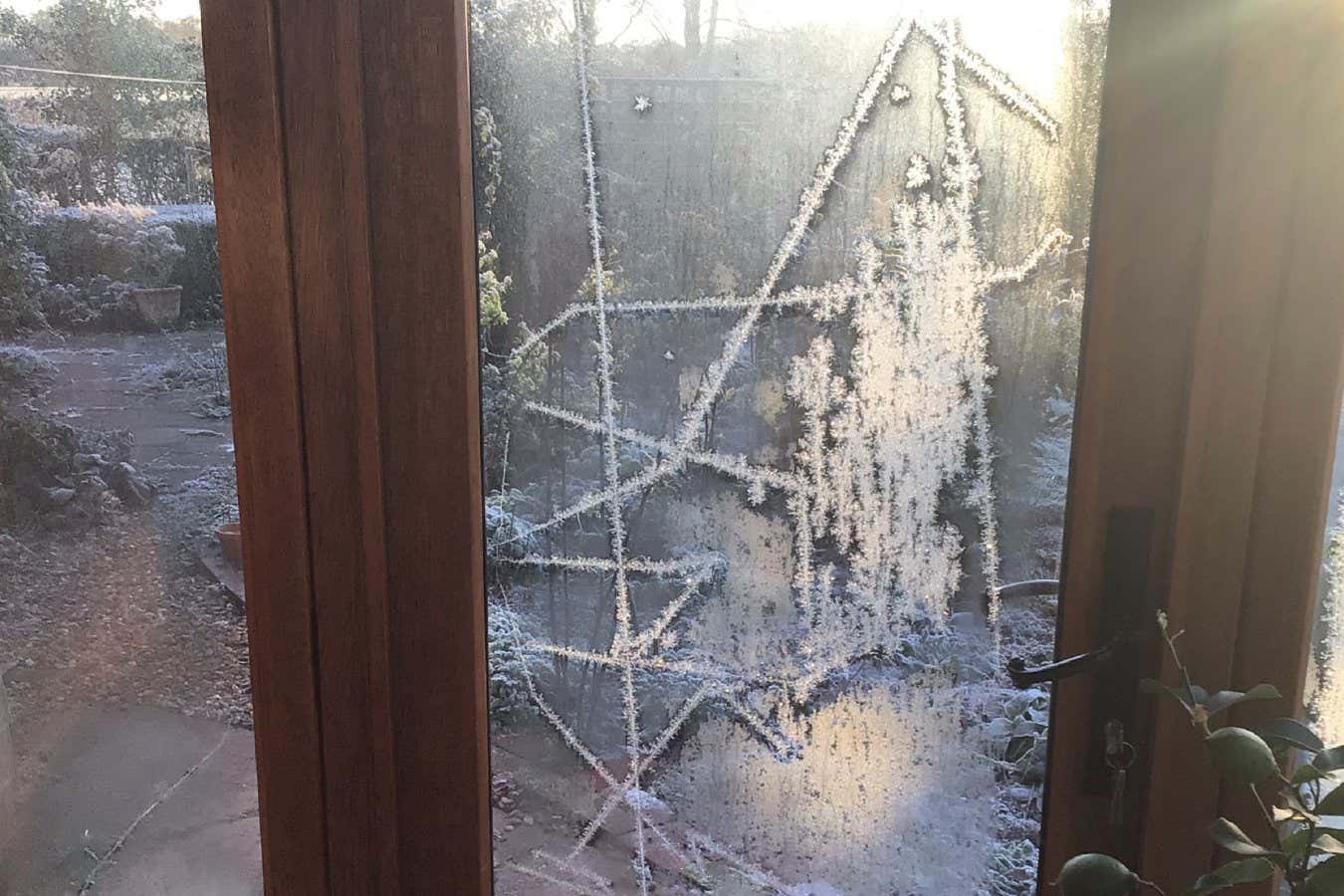 Ice patterns on a door