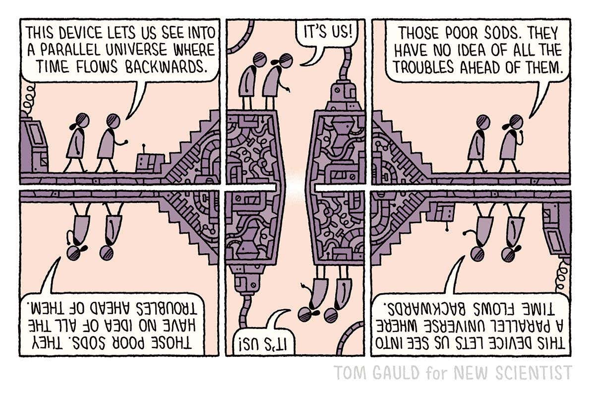 Tom Gauld on a parallel universe where time flows backwards