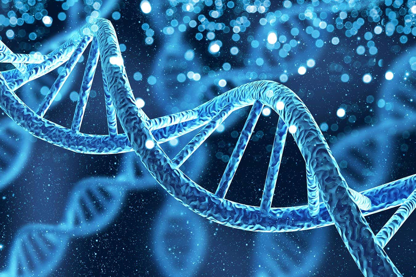 DNA can be used for computation
