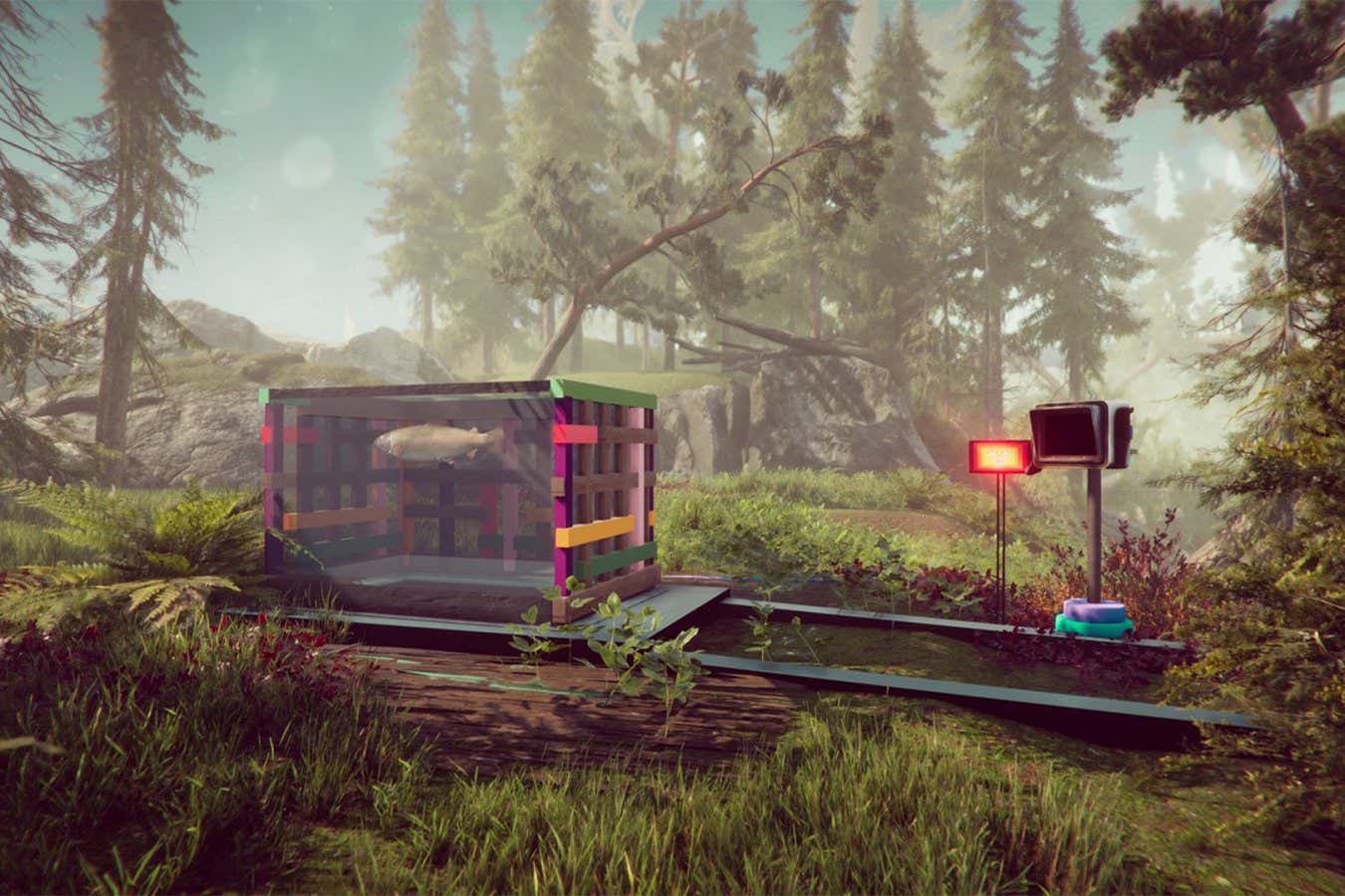 The Forest Cathedral Whitethorn Games