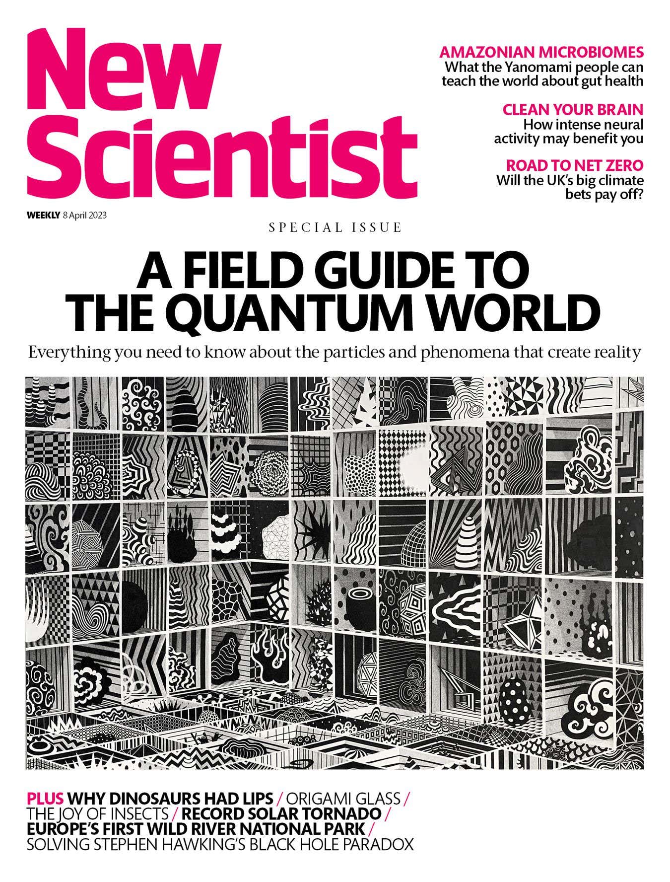 New Scientist issue 3433 cover