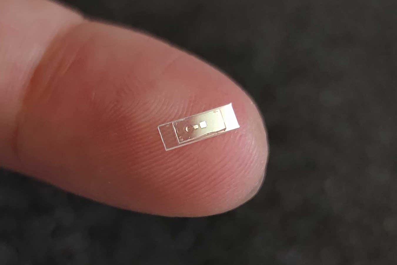 The sapphire crystal resonator used by ETH researchers to probe the validity of quantum mechanics in objects consisting of trillions of atoms.?(Image: ETH Zurich)