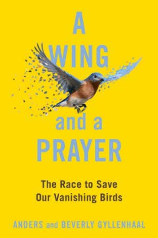 Book Cover Image (jpg): A Wing and a Prayer Hardcover 9781982184551
