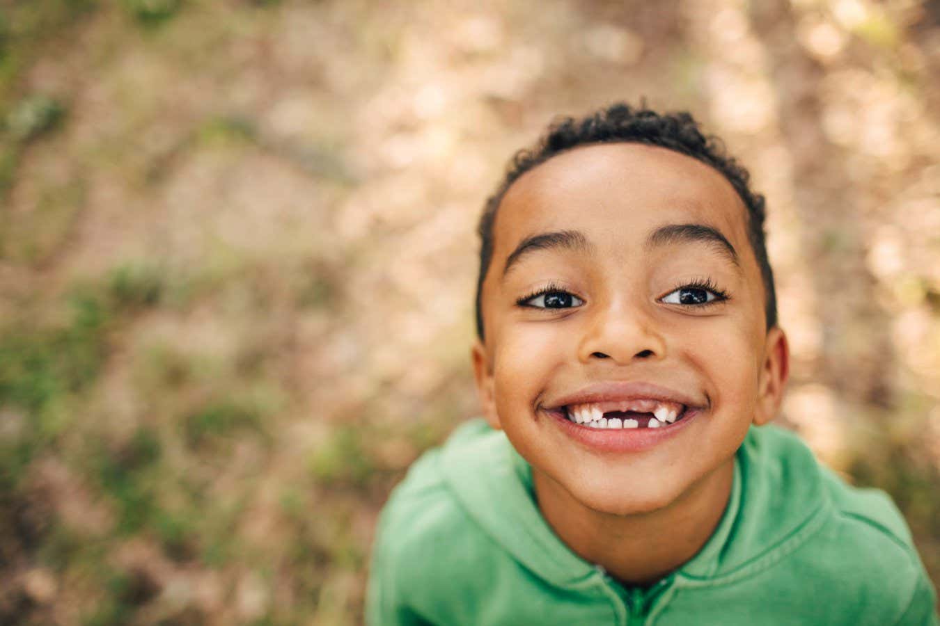 2DHCKHY High angle view of smiling boy with gap toothed in park
