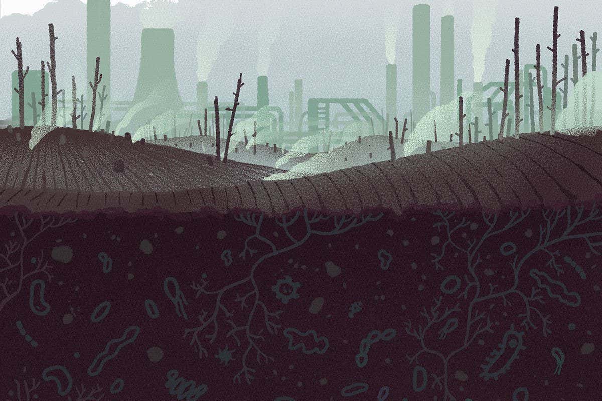 The shocking decline of Earth’s microbiome – and how to save it