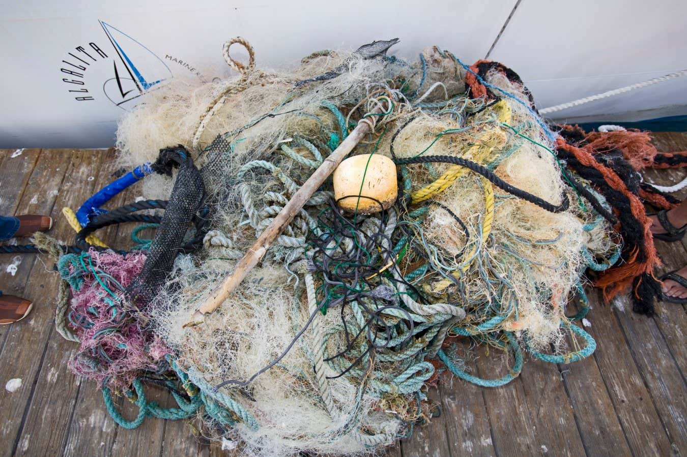 Rubbish pulled from the great Pacific garbage patch
