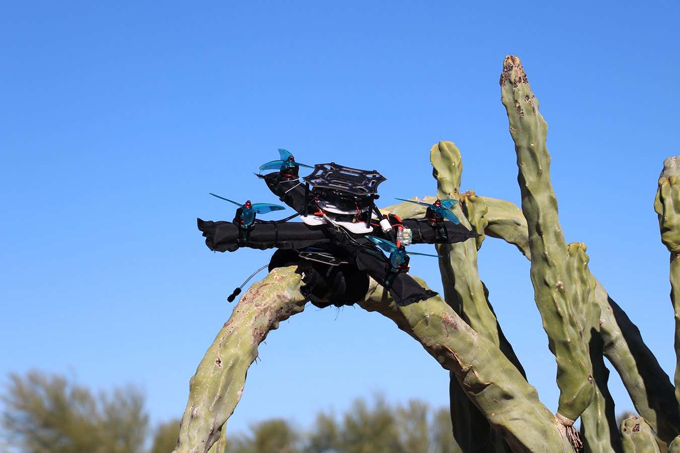 This drone can perch on nearly anything