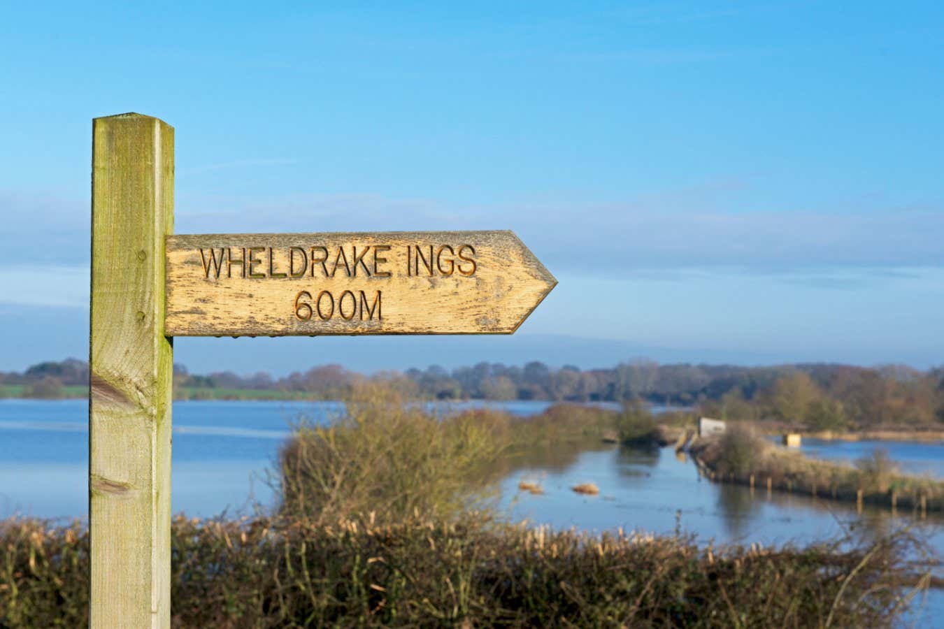 Wheldrake Ings nature reserve in North Yorkshire with sign in front