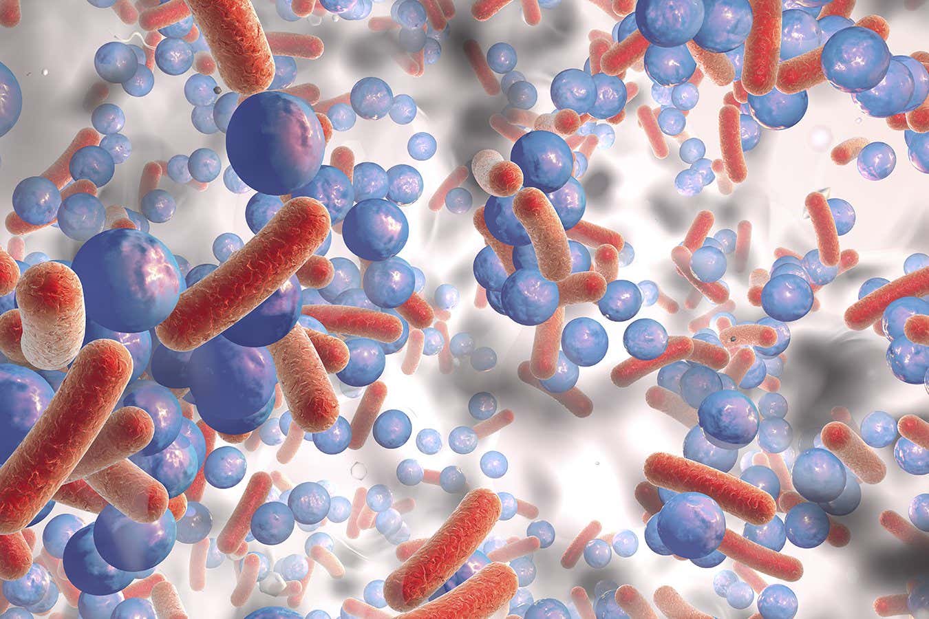 Curbing fatty acid production in bacteria lowers antibiotic resistance