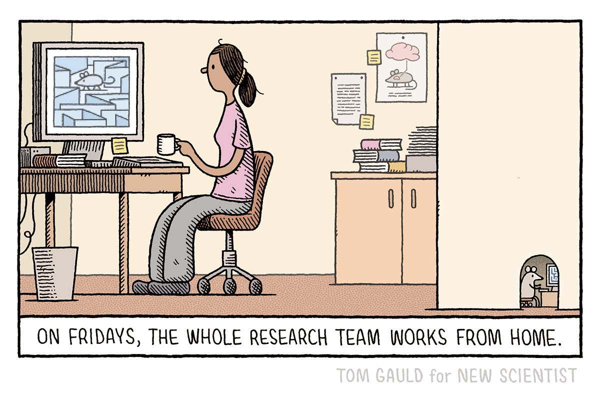 Tom Gauld: On Fridays, the whole research team works from home