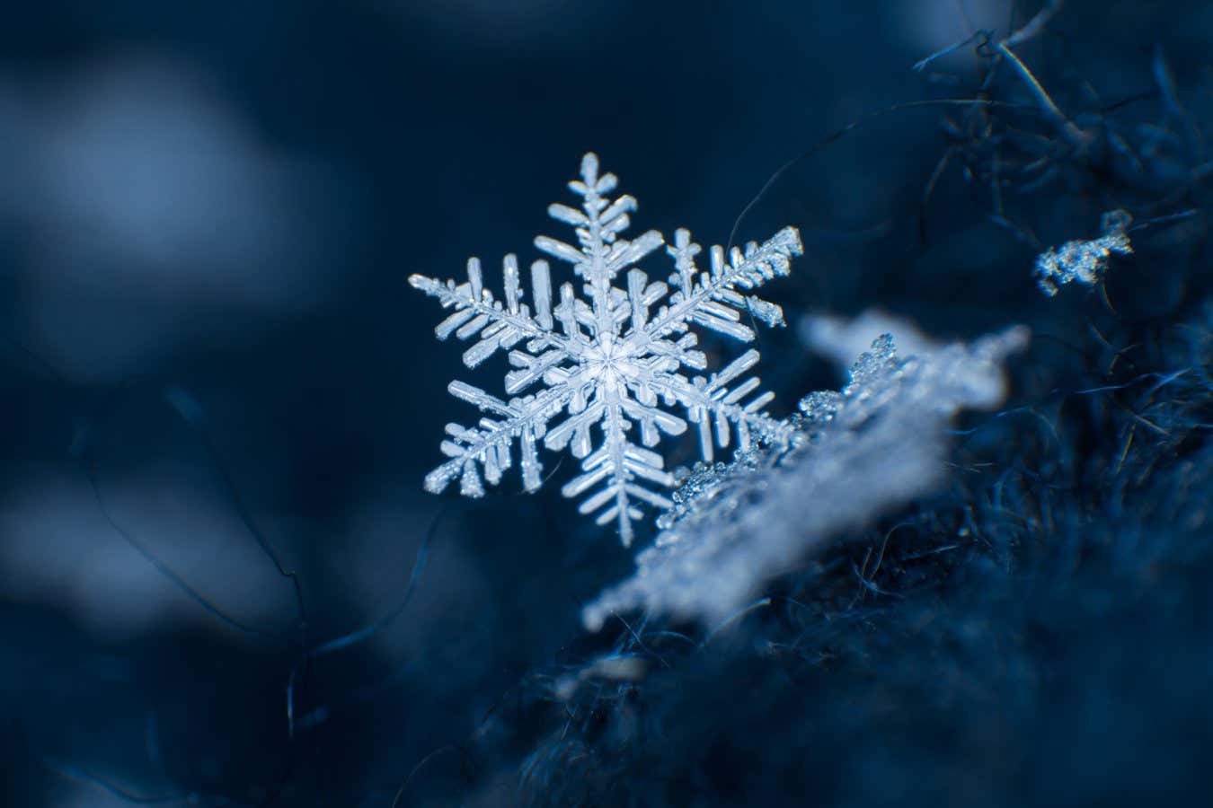 Snowflake on a dark blue background; Shutterstock ID 1006197640; purchase_order: -; job: -; client: -; other: -