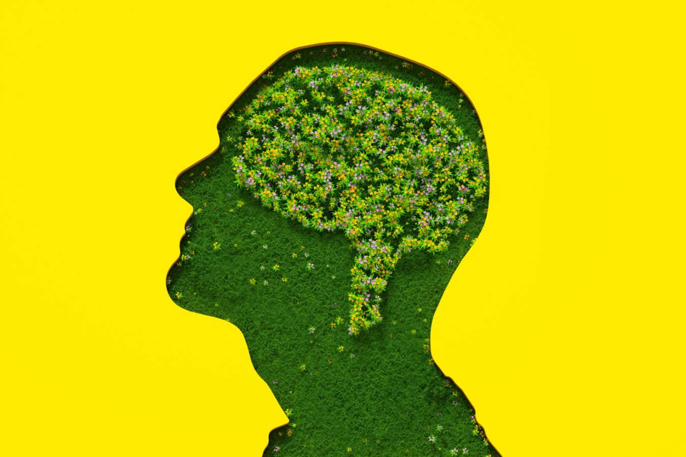 Flowers petals and leaves forming brain shape inside male's head silhouette made out of grass on yellow background.