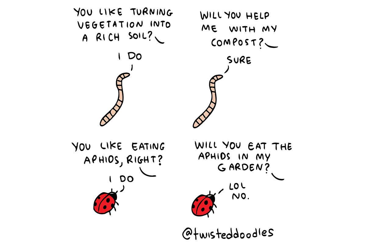 Twisteddoodles on the difference between worms and ladybirds
