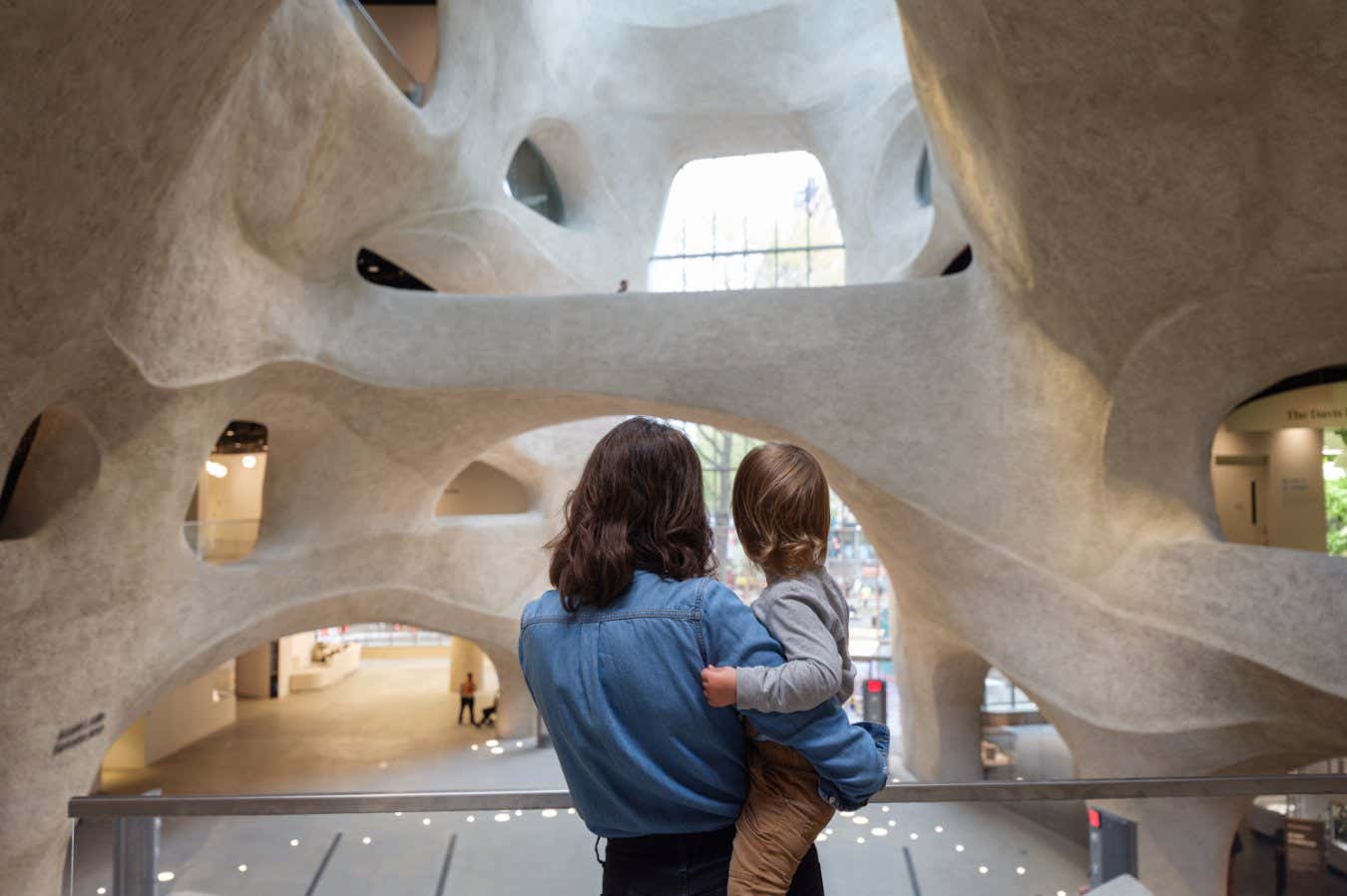 The architecture of the five-story Kenneth C. Griffin Exploration Atrium in the new Richard Gilder Center for Science, Education, and Innovation is inspired by natural Earth processes of wind and water and the ways in which they shape landscapes that are exciting to explore. The Griffin Atrium serves as a gateway into the Museum from Columbus Avenue, featuring skylights for natural illumination and alluring sightlines that invite visitors to explore various levels and galleries, including the new Susan and Peter J. Solomon Family Insectarium and Louis V. Gerstner, Jr. Collections Core. Located on the second floor, the landing at the top of the staircase opens up to the full scope of the Kenneth C. Griffin Atrium, with views of the Gilder Center???s new engaging exhibits. 2. Kenneth C. Griffin Exploration Atrium Alvaro Keding/? AMNH Description: The architecture of the five-story Kenneth C. Griffin Exploration Atrium in the new Richard Gilder Center for Science, Education, and Innovation is inspired by natural Earth processes of wind and water and the ways in which they shape landscapes that are exciting to explore. The Griffin Atrium serves as a gateway into the Museum from Columbus Avenue, featuring skylights for natural illumination and alluring sightlines that invite visitors to explore various levels and galleries, including the new Susan and Peter J. Solomon Family Insectarium and Louis V. Gerstner, Jr. Collections Core. Located on the second floor, the landing at the top of the staircase opens up to the full scope of the Kenneth C. Griffin Atrium, with views of the Gilder Center?s new engaging exhibits. Usage rights: PLEASE NOTE: These images are supplied solely for one-time use by print, broadcast, and online media for publicity purposes related to The Richard Gilder Center for Science, Education, and Innovation press preview. No other use of these images is permitted without the express written permission of the Museum and/or the owners of the images. Unique identifier: AN1525680