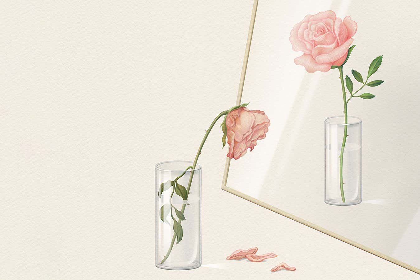 A new class of anti-ageing drugs has arrived – which ones really work?