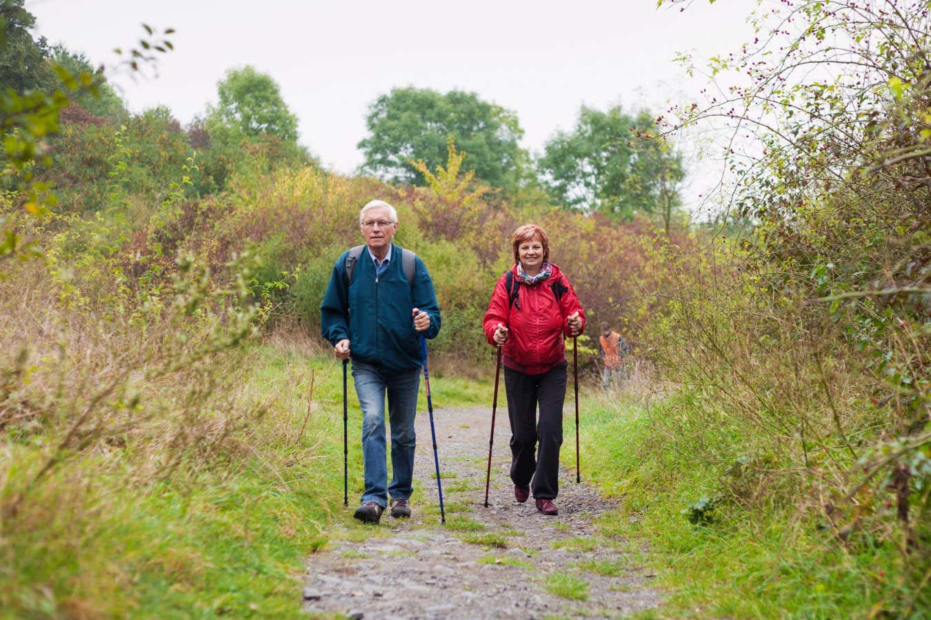 EJMAXP Senior couple Nordic walking on rocky trail in the nature.