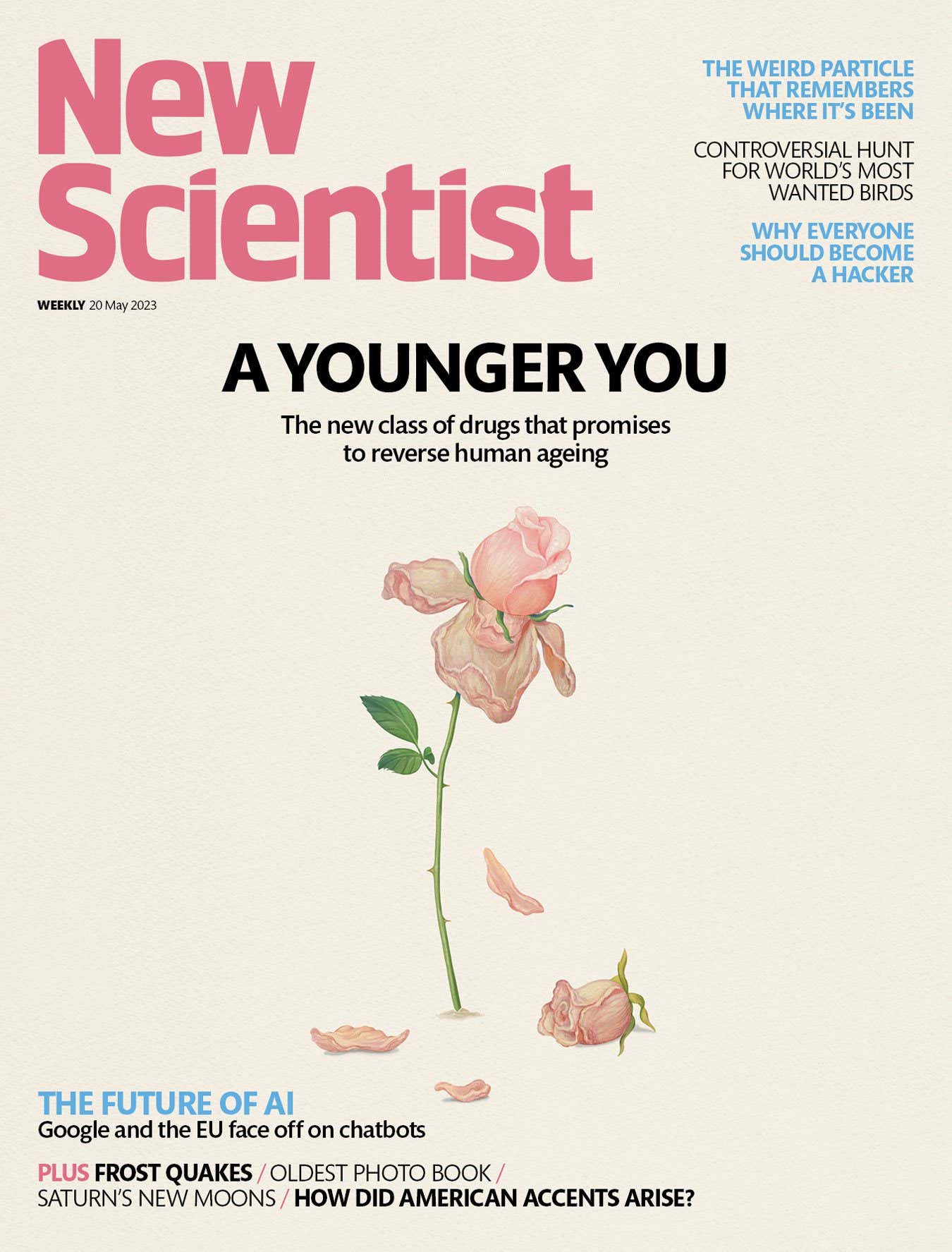 New Scientist issue 3439 cover