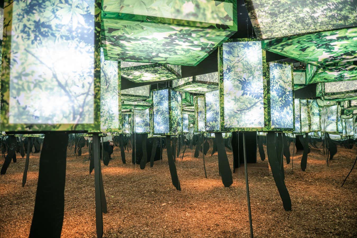 Dopamine Land - London