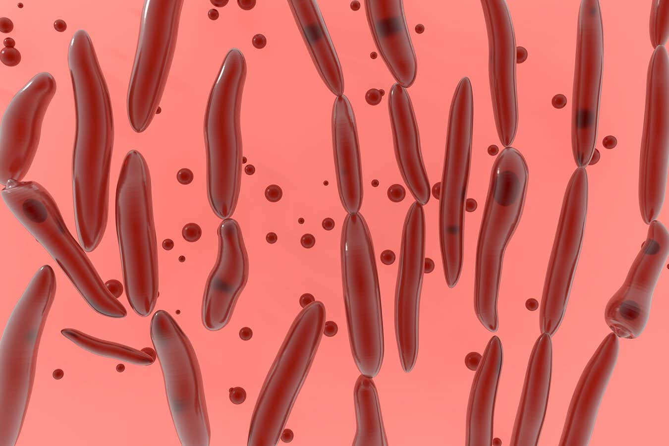 Botulism or Clostridium botulinum bacterium 3d illustration