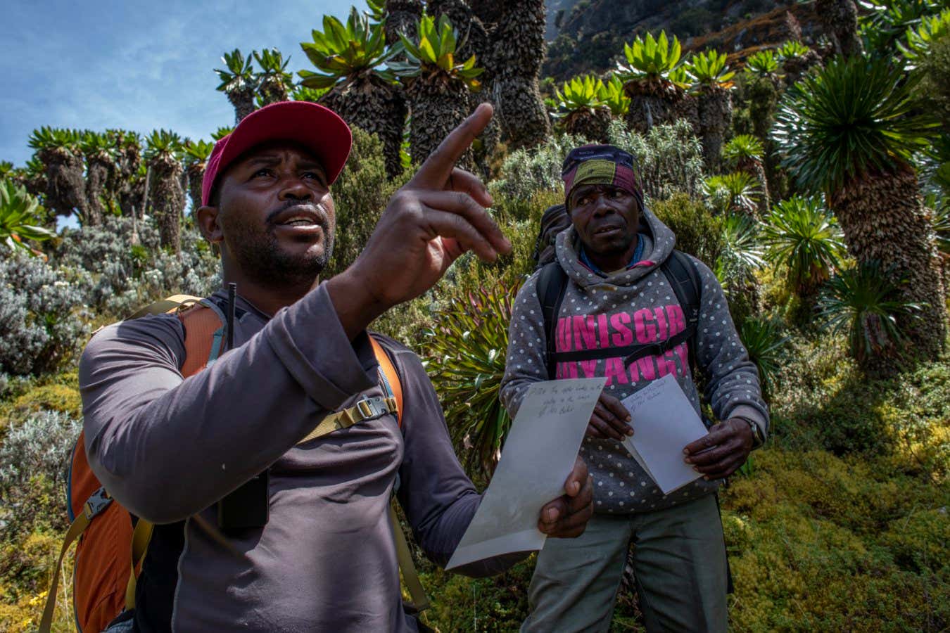 Two guides discuss a photo whilst trekking in the Rwenzori range 