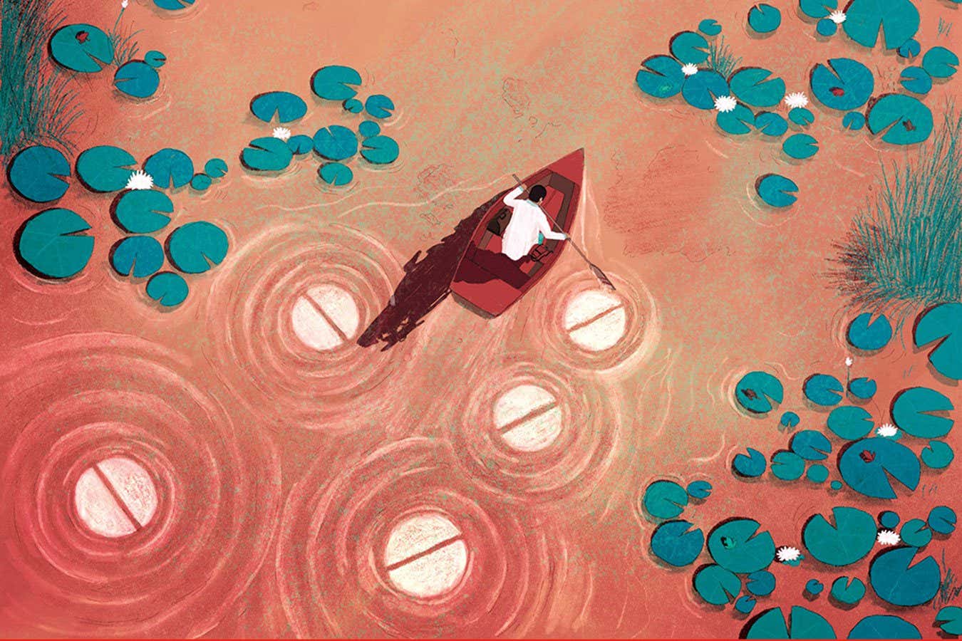 Why we should do more to protect frogs and toads