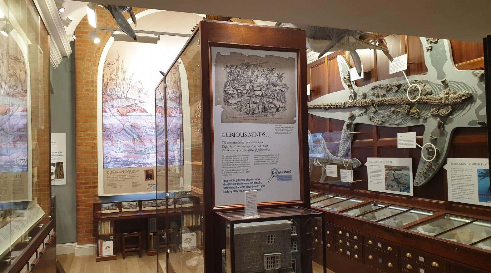 New Scientist. Science news and long reads from expert journalists, covering developments in science, technology, health and the environment on the website and the magazine.