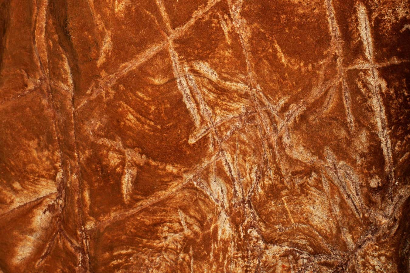 New Scientist. Science news and long reads from expert journalists, covering developments in science, technology, health and the environment on the website and the magazine.