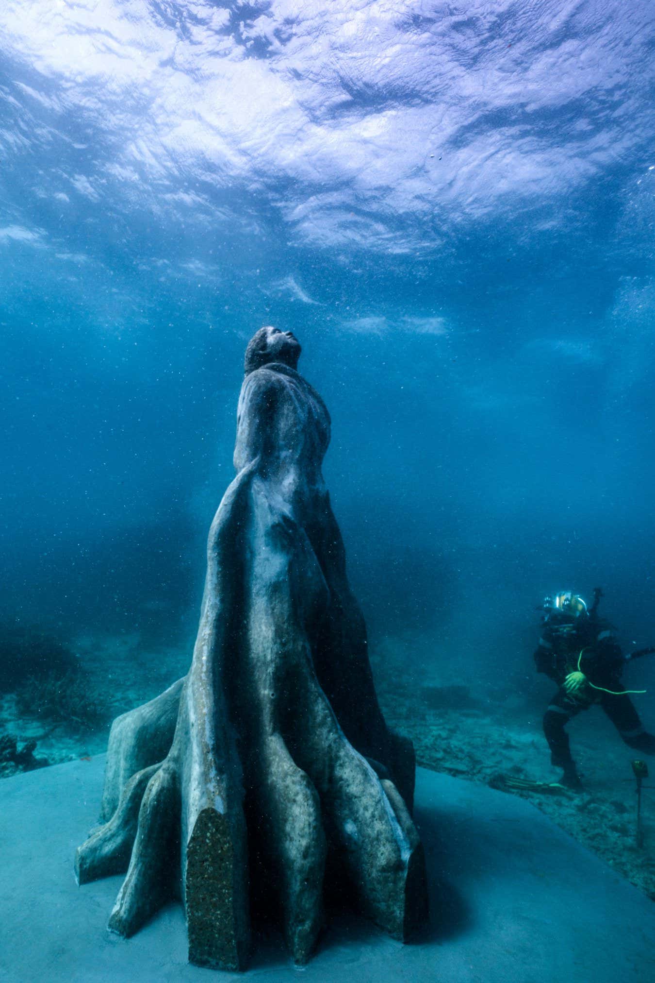 Jayme Marshall a young indigenous woman from Wulgurukaba and Yunnben traditional owners. Her rooted form is based on local Mangrove and Fig trees.