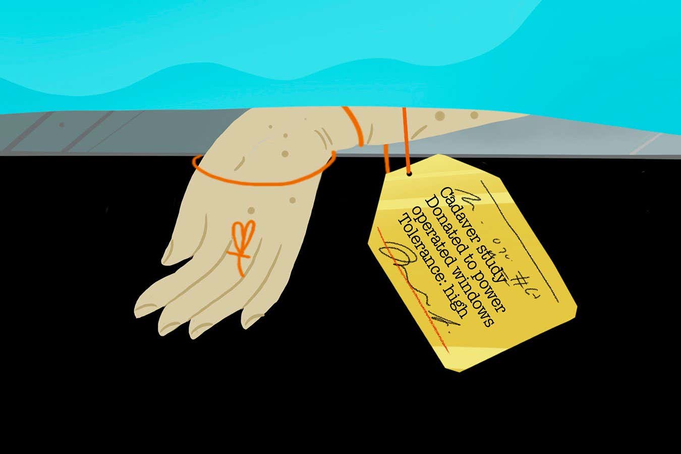 Donate your fingers to science, they said. It will be fun, they said