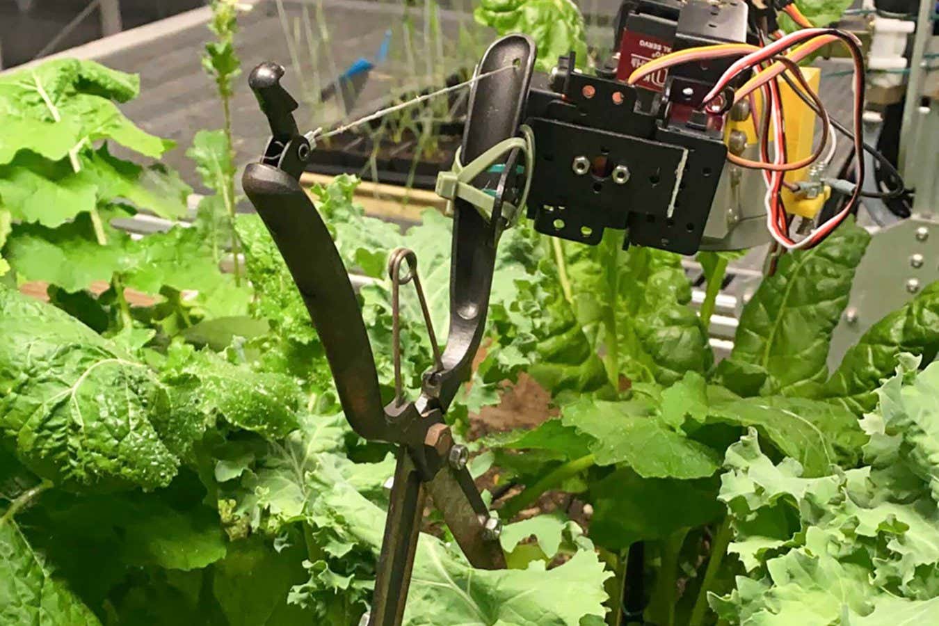 The AlphaGarden robotic gardener