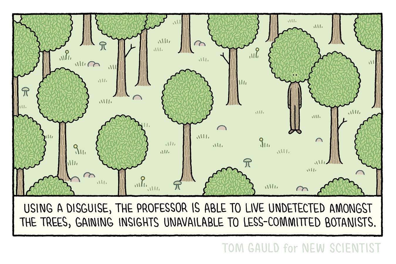 Tom Gauld on a professor in disguise