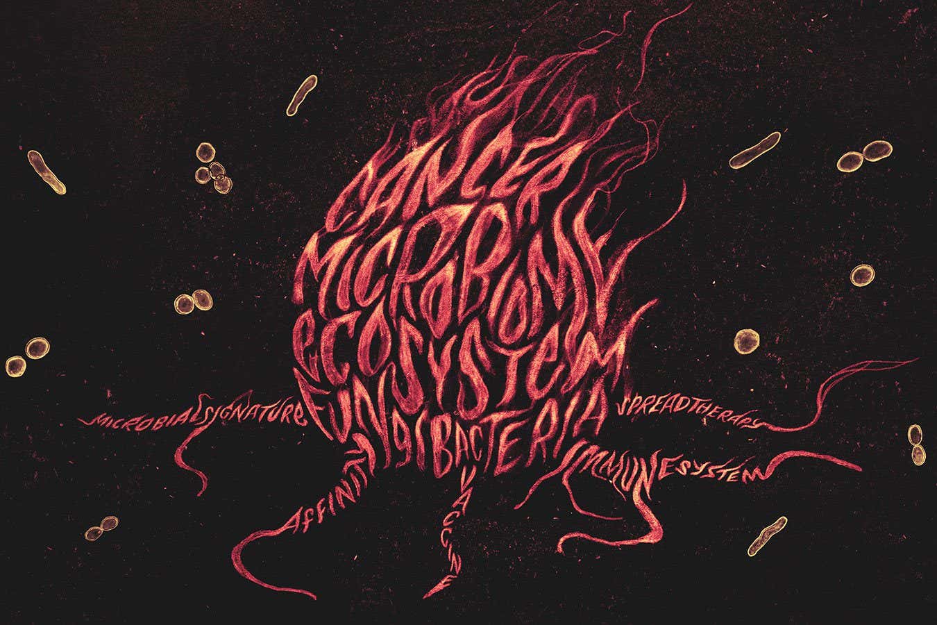 Tumour-dwelling microbes: A startling new frontier in cancer treatment