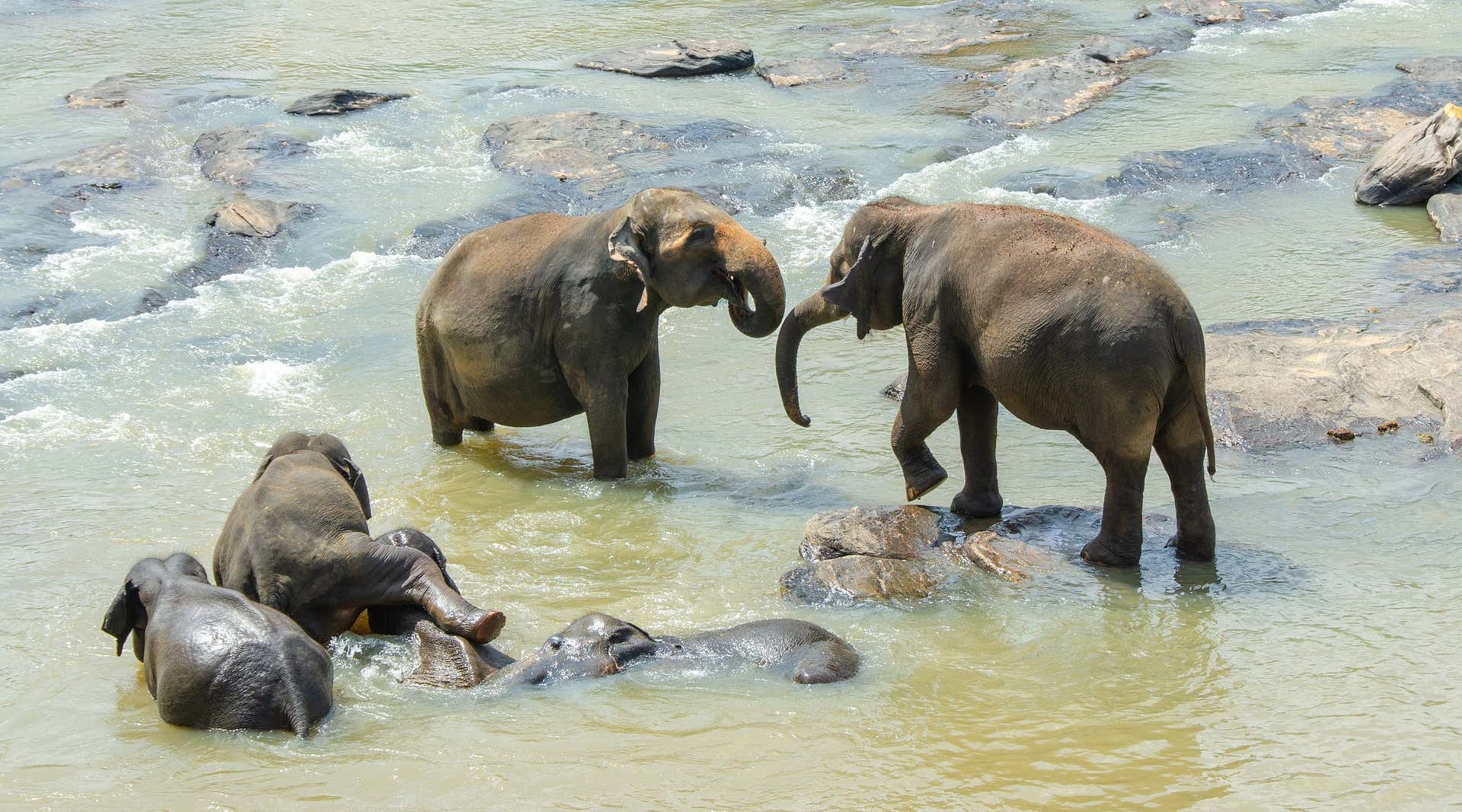 New Scientist. Science news and long reads from expert journalists, covering developments in science, technology, health and the environment on the website and the magazine.