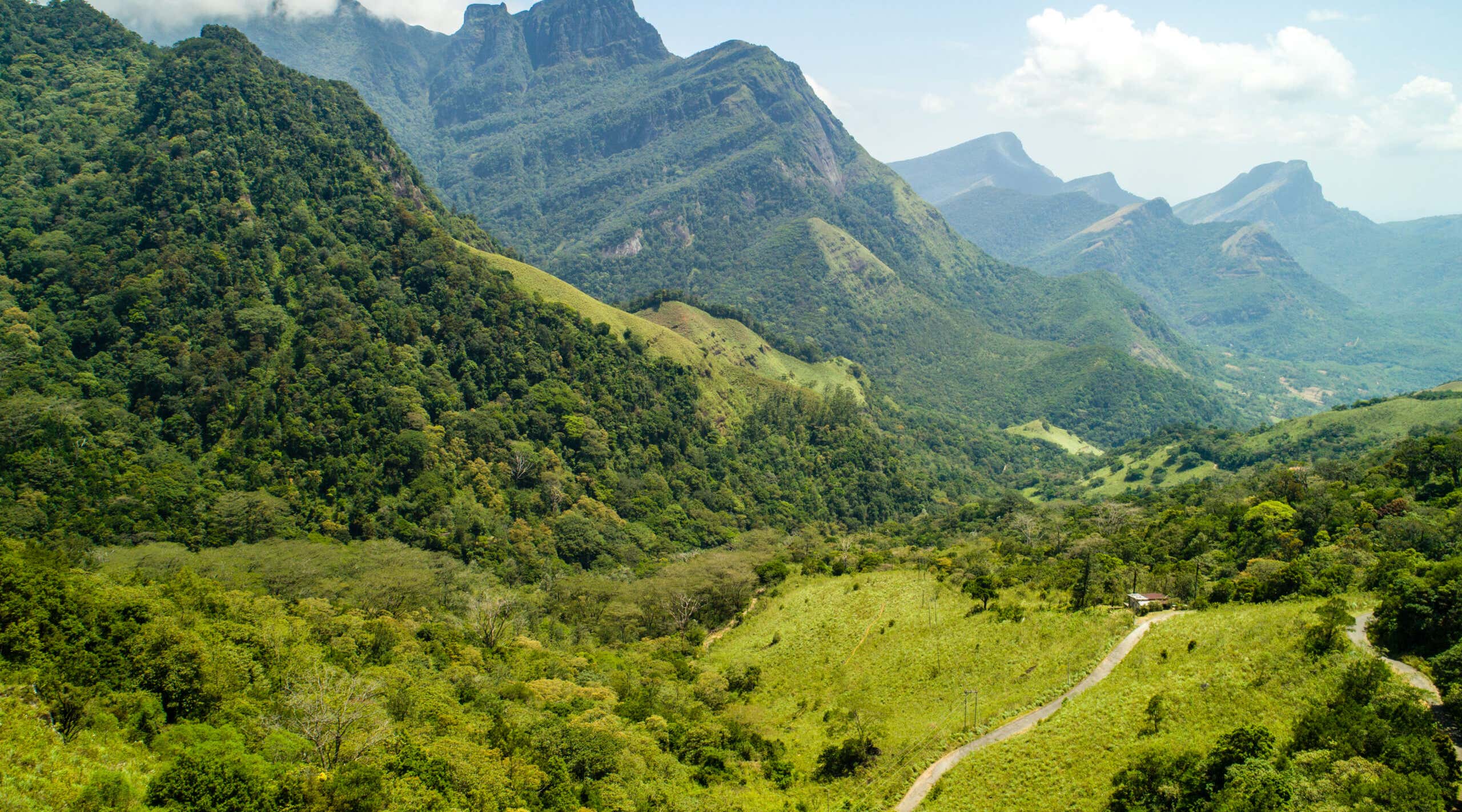New Scientist. Science news and long reads from expert journalists, covering developments in science, technology, health and the environment on the website and the magazine.