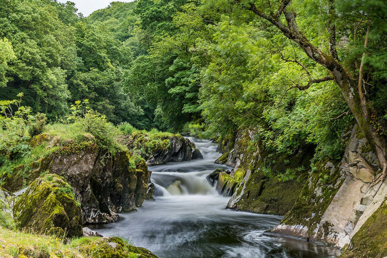 The river Teifi at Cenarth falls, Wales