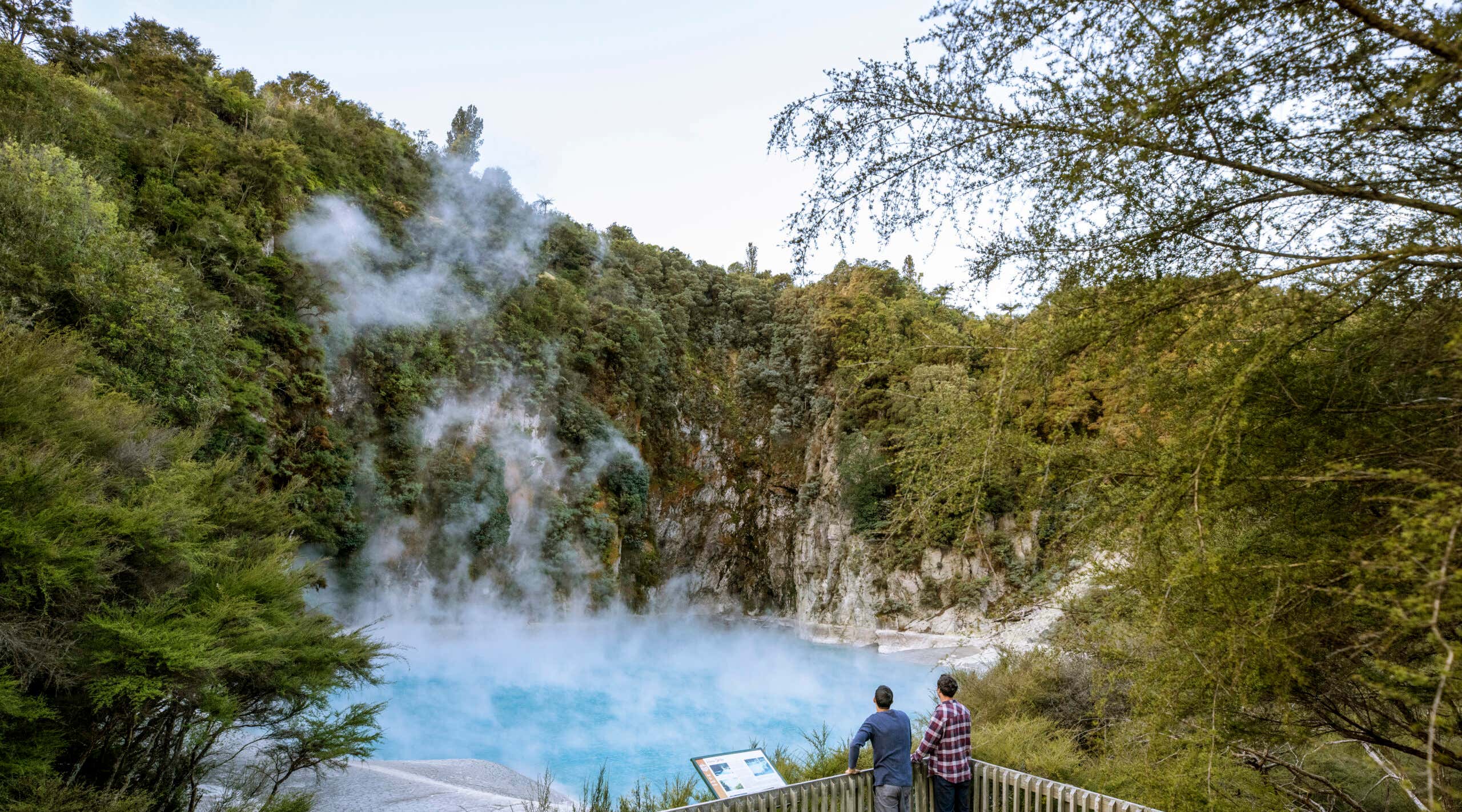 New Scientist. Science news and long reads from expert journalists, covering developments in science, technology, health and the environment on the website and the magazine.